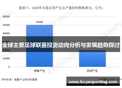全球主要足球联赛投资动向分析与发展趋势探讨